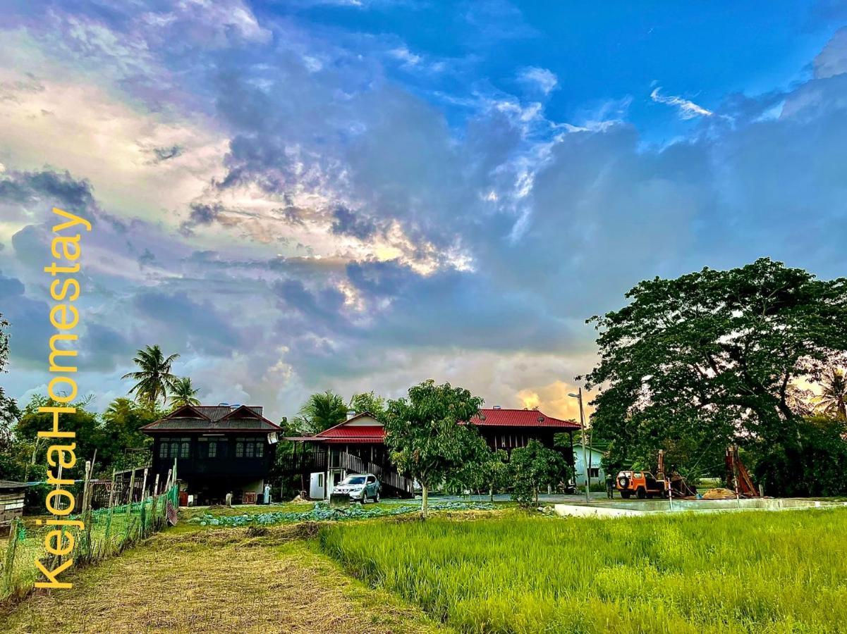 Kejora Homestay Kangar Exterior photo